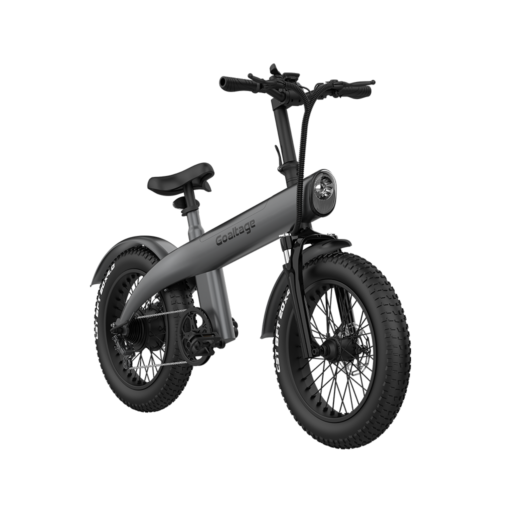 Goaltage EBK01 EcoMotion Electric Bike Goaltage EBK01 EcoMotion Electric Bike including Rechargeable Battery, 7-Speed Motor with Front and Rear Shock Absorber, Brake and Light GT-EBK01