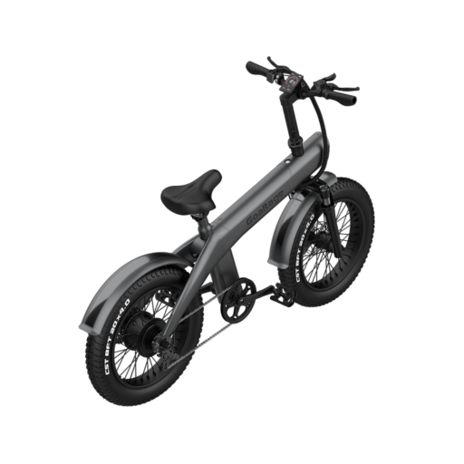 Goaltage EBK01 EcoMotion Electric Bike Goaltage EBK01 EcoMotion Electric Bike including Rechargeable Battery, 7-Speed Motor with Front and Rear Shock Absorber, Brake and Light GT-EBK01