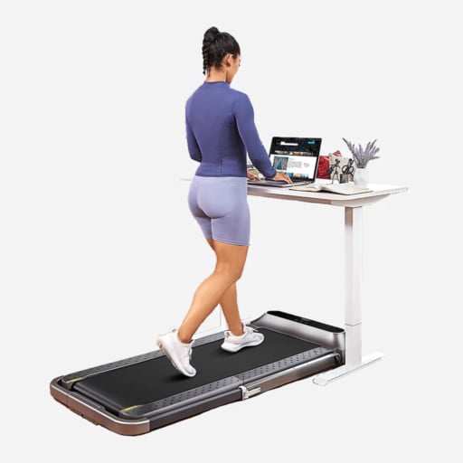King Smith WalkingPad Treadmill R2 King Smith WalkingPad R2 2-in-1 Folding Treadmill KS-TRR2F